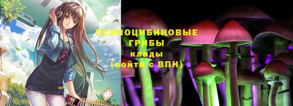 ALPHA PVP Алексин