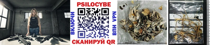 Галлюциногенные грибы мухоморы  купить   Ардон 